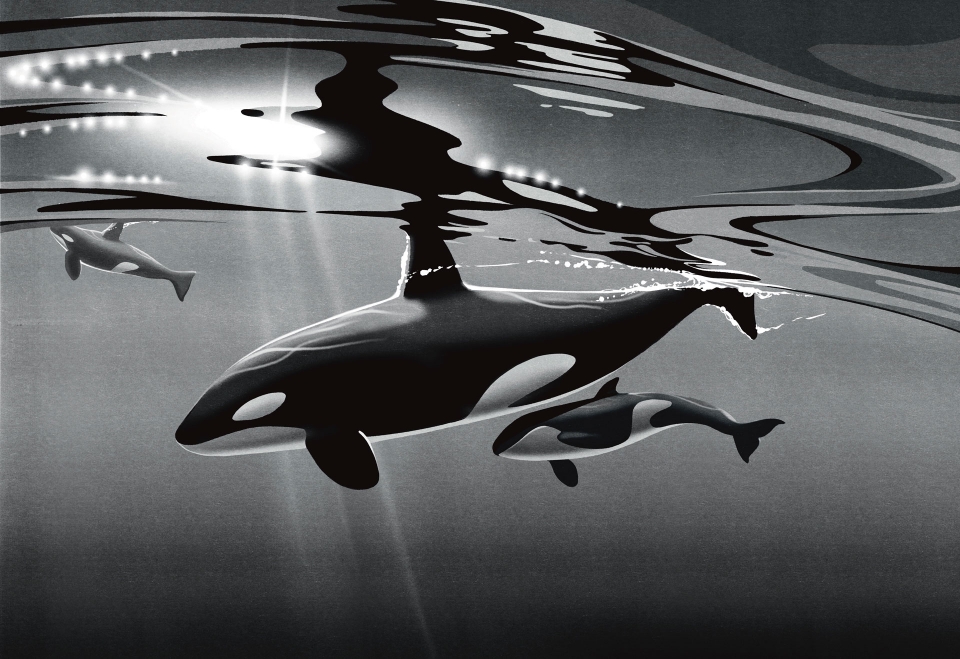 Maxime Mouysset - Reliefs 